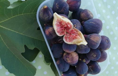 Burrico D`Orada - Rural Stays & Wine Country Tours - Foto 54