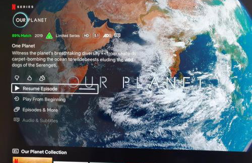 Alastrean Flat - Photo 23