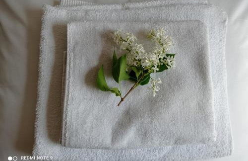 Agroturystyka Pasynki 44 - Foto 14