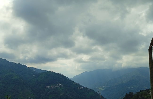 Kamelya Dag Evleri - Foto 19