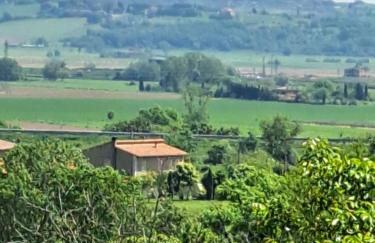 Casa Gli Ulivi - Foto 9