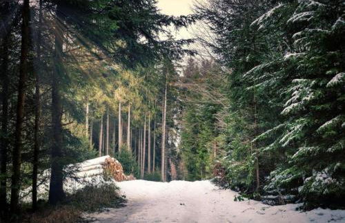 Einladendes, freistehendes Ferienhaus in Wienrode - Foto 20