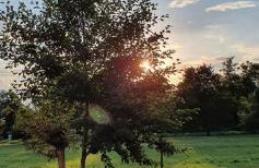 Liljas Haus im Spreewald - Foto 43