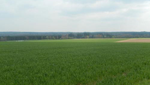 Ferienwohnung Ebeling under rainbow - Photo 5