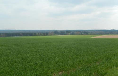 Ferienwohnung Ebeling under rainbow - Foto 5