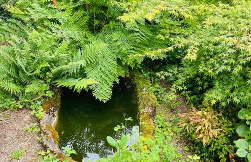 Domaine Jeanne de Laval - Photo 16