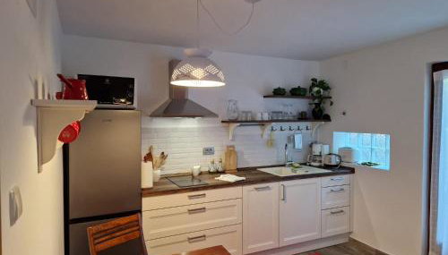 Apartment Vesna with terrace - Foto 3, stove, dishwasher, minibar