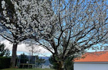 Casa Catita - Douro - Foto 14