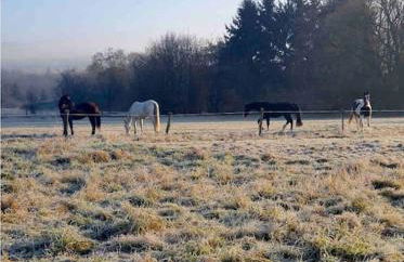 Ferienwohnung Nalbach Wohnung 1 - Foto 22