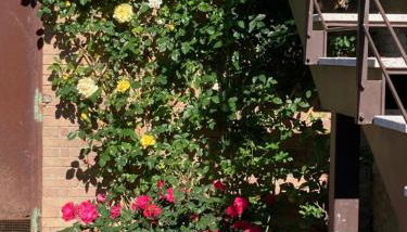 Carpineto1: Appartamento con giardino vicino Siena - Foto 2