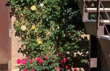 Carpineto1: Appartamento con giardino vicino Siena - Foto 2