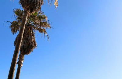 BeachFront Villa - La Casa del Mar - Foto 47