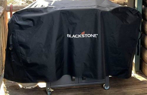 UNQUESTIONABLY the BEST VIEWS in North Georgia - Photo 20