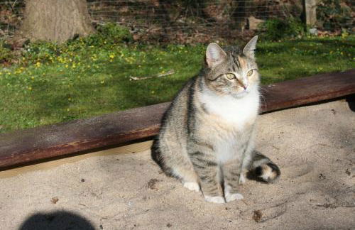 Forsthaus Wendt - Foto 30