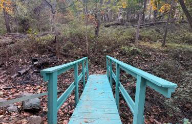 Vintage Lovers` Cabin with Jacuzzi & Lake Access - Foto 32