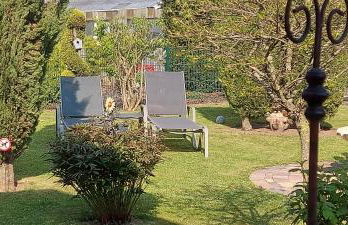 Ferienwohnung Zum Weinberg bis 4 Personen - Im Herzen der Pfalz - Foto 36