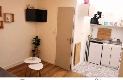 Locations du Grand Pont - Appart hôtel Poitiers - Futuroscope - Foto 38