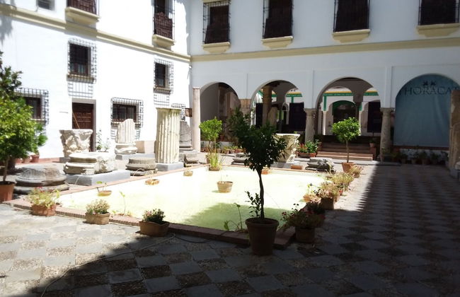 Casa Tipica Cordobesa en la Juderia - Photo 26