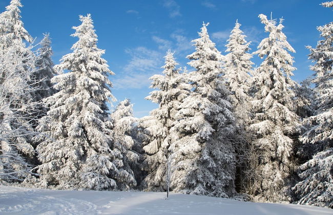 Apt - Neuastenbergerstrasse 4 Neuasten - Foto 20