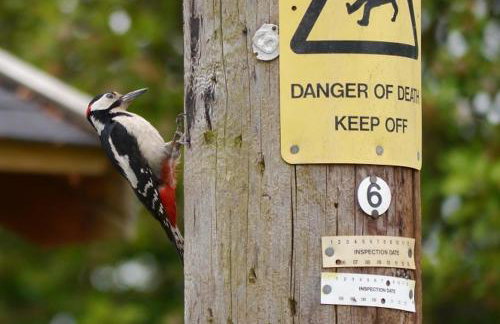 Craig Cottage - Photo 16