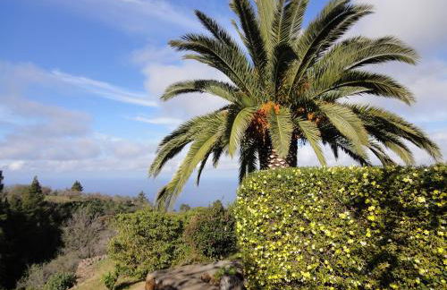 Casa Naranjo - Foto 15