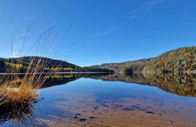 Midtholmen - Foto 32