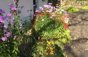 Catskill Cabin, Cool Apartment, 2nd Floor - Photo 24