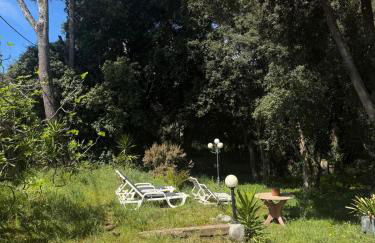 Casa Fritz - Photo 7