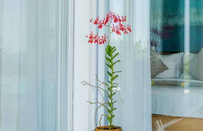 Deep Blue Villa Bali - Foto 1