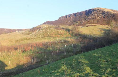 The Scullery - a quirky annex with wood fire - Foto 41