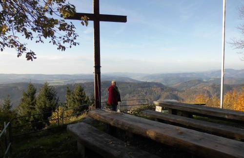 Urlaub auf dem Hänslehof - Foto 7