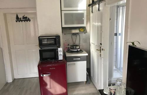 Ferienwohnung im Einfamilienhaus, Automobil und Robert Schumann Stadt Zwickau - Foto 6