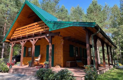 Domek Zielona Sowa - Foto 1