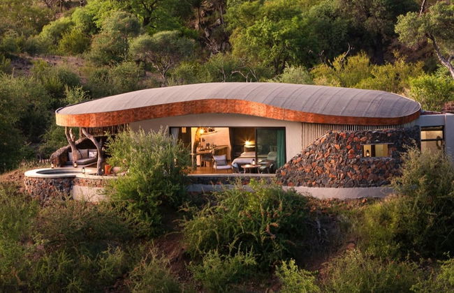 Euphorbia Mashatu - Foto 1