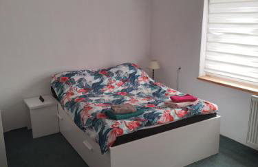 Gospodarstwo agroturystyczne - Foto 41