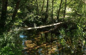 Recanto Da Ribeira Casas De Campo - Foto 34