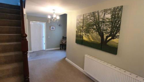 Otter House - Foto 3