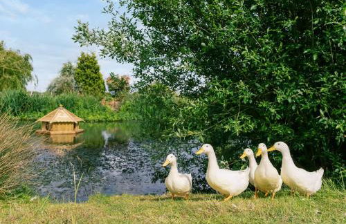 Lillie's Shepherd Hut - Uk50230 - Foto 28