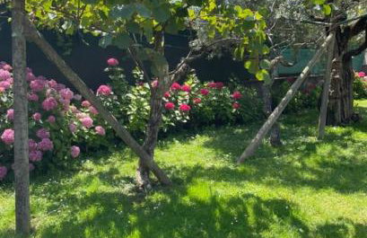 Verde House 2 - Foto 36