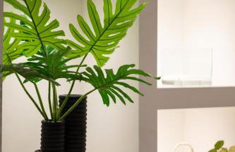 Memories Gytheio - Foto 41