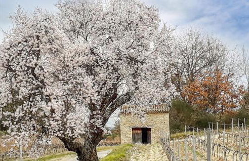 Gorgeous Home In Entrechaux - Foto 25