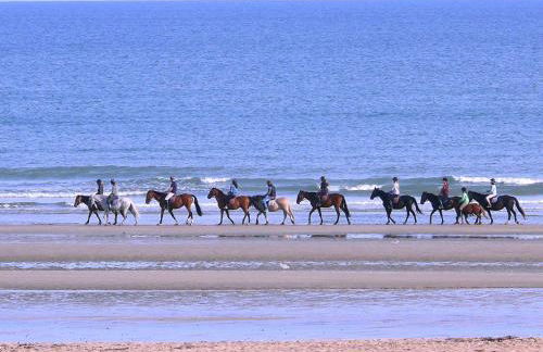 Studio Confort Bourg de Mer sur Gold Beach - Photo 15