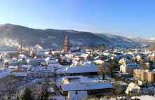 La Bourgogne en Alsace - charmant séjour familial - Foto 19