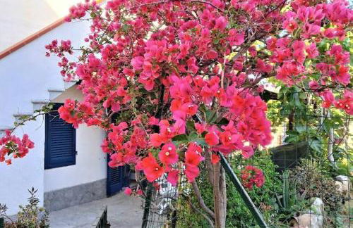 La Pergola di Pomonte - Foto 21