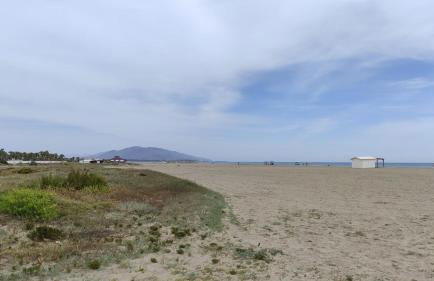 Dumar Puerto Rey - Foto 13