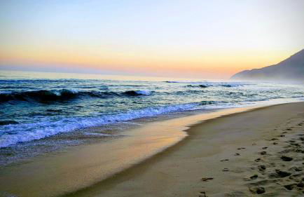 Will Container Experience - Foto 55