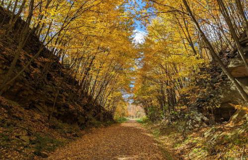 Stay In Ohiopyle near everything including the trail, Ohiopyle PA - Foto 42