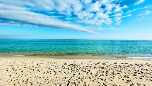 bilocale Pinewood - Foto 4