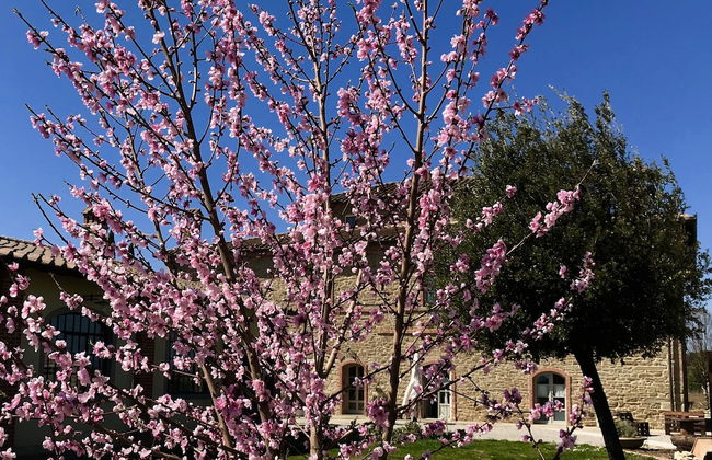 Agriturismo La Colmata - Photo 39