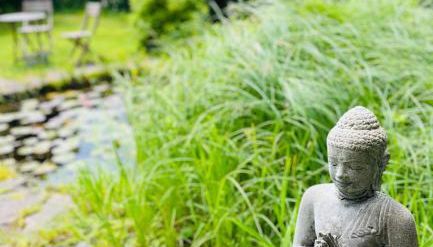 Villa Stein - Photo 3